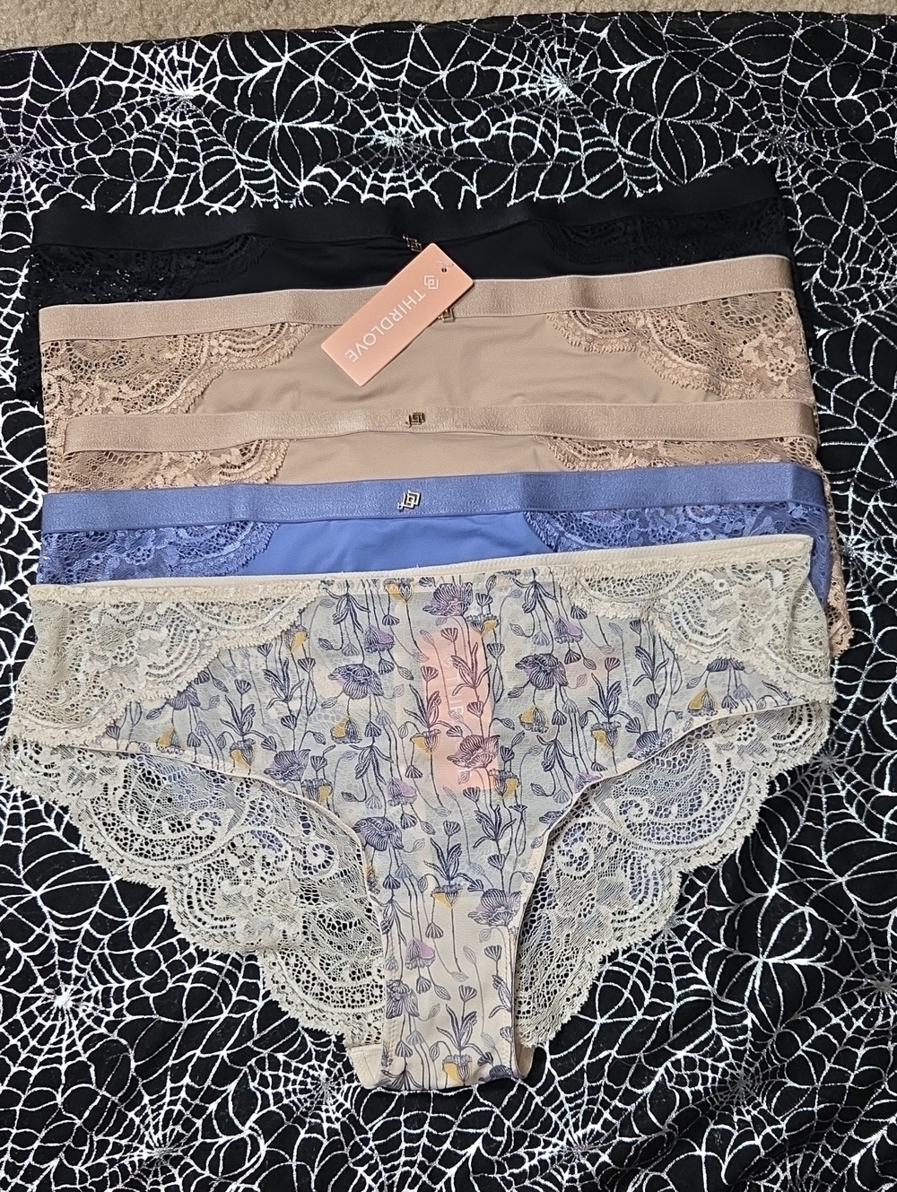 NEW THIRDLOVE 5 PAIRS Cheeky Lace Bikini Underwear Womens Size Large